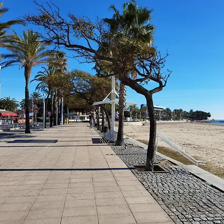 Flora Cambrils